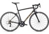 Specialized ALLEZ E5 ELITE 58 SMOKE/ICE PAPAYA/CARBON